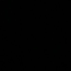 Meet your Posher, Faye